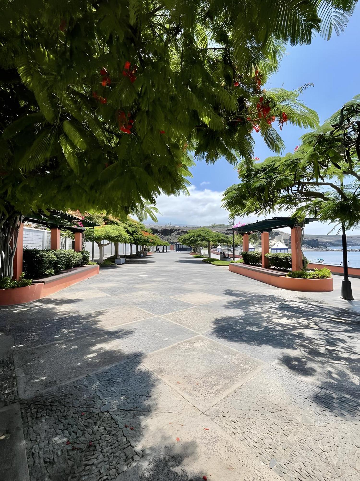 Isla Bonita San Juan Beach Guia de Isora  Exterior photo